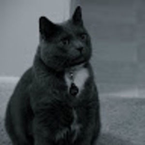 Meet your Posher, Fred